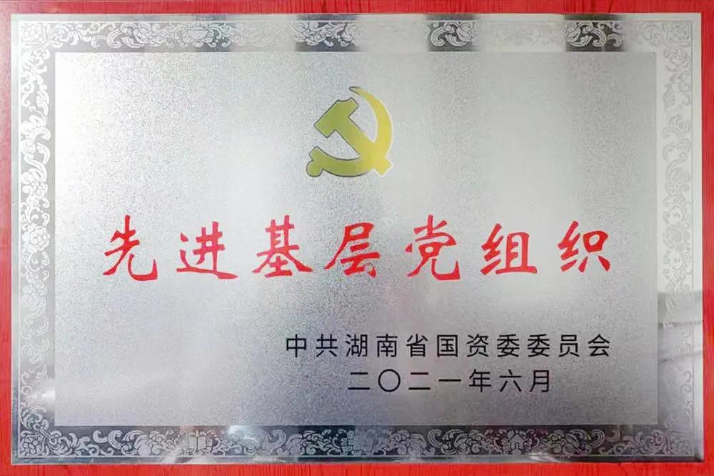 牽引電機黨支部  先進基層黨支部.jpg 牽引電機黨支部  先進基層黨支部.jpg